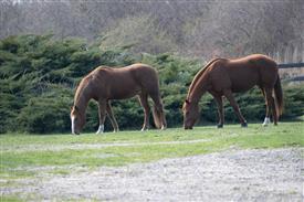 LR-WRF 0402026 Retreat-3049